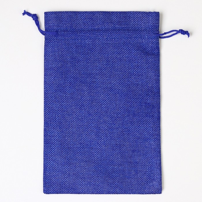 Мешок с термонаклейкой &laquo;Рябина на снегу&raquo;, 16 х 24 см +/- 1.5 см, Новый год