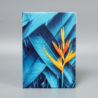 Папка для документов &laquo;Docs&raquo;, 8 файлов А4