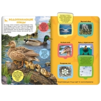 Книжка с окошками &laquo;Луг и пруд&raquo;