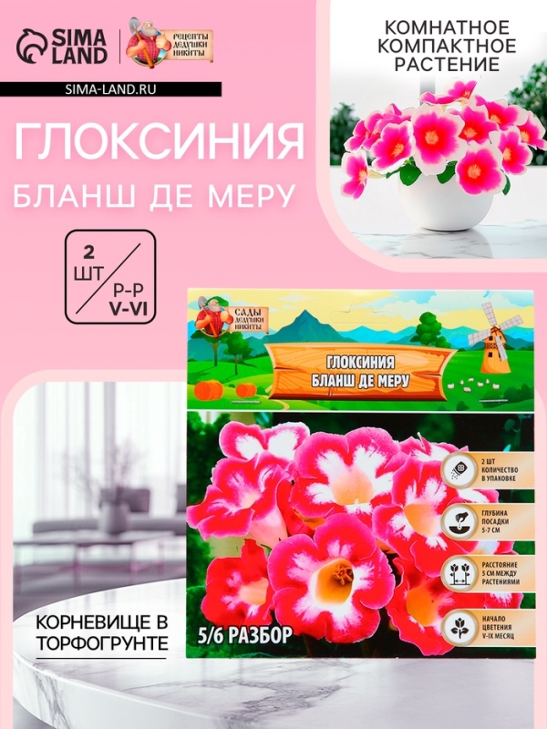 Глоксиния &laquo;Бланш де Меру&raquo;, многолетник, комнатный, луковица в пакете с перфорацией, р-р 5/6, 2 шт.