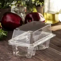 Контейнер одноразовый с неразъёмной крышкой ПР-ПК62С2, 2 секции, пластик, 18.8&times;13.8 см, прозрачный