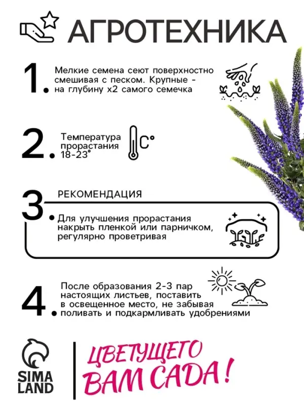 Семена Вероника "Синяя", ц/п,   0,02 г