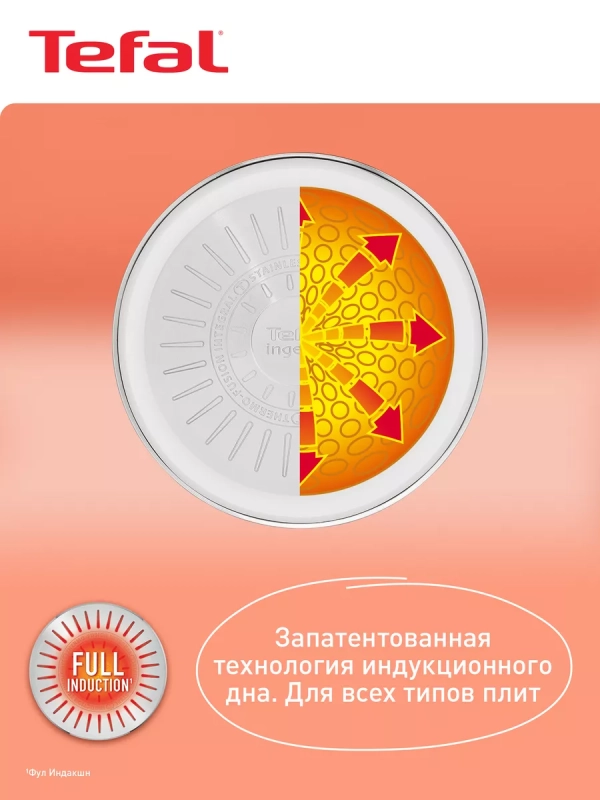 Набор посуды со съемной ручкой Ingenio Emotion L897S574