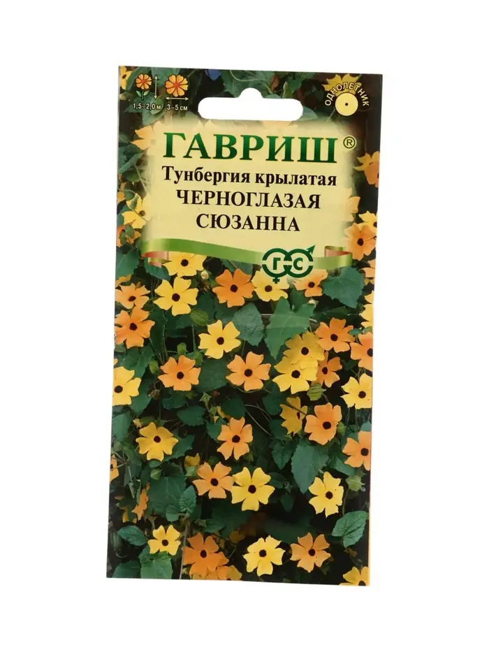 Семена цветов Тунбергия крылатая Черноглазая Сюзанна 0,3 г