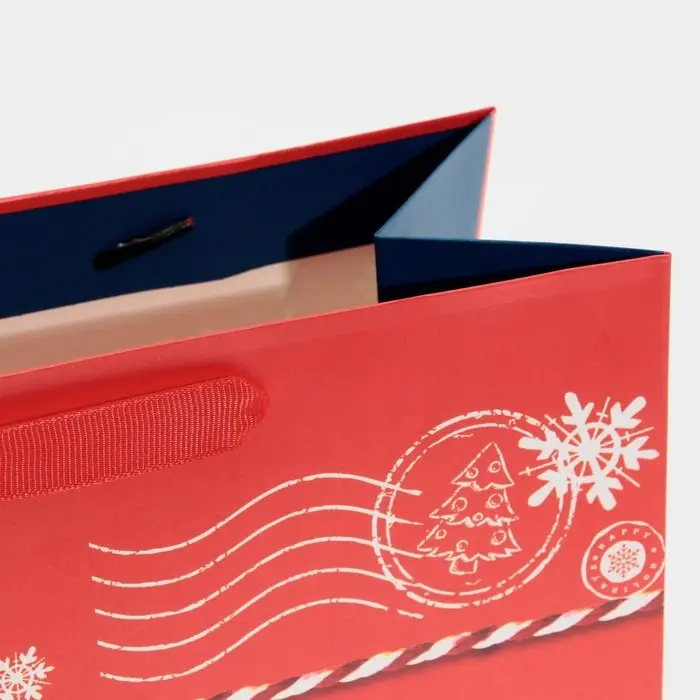 Пакет подарочный новогодний ламинированный &laquo;Посылка для тебя&raquo;, MS 18 х 23 х 10 см