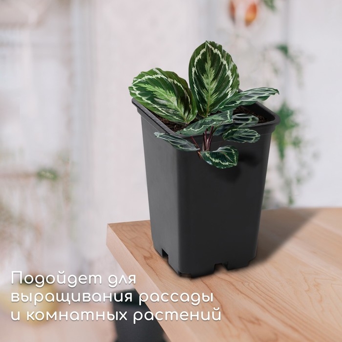 Горшок для рассады, 7 л, d = 21 см, h = 27,5 см, чёрный