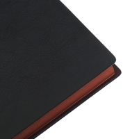 Органайзер на кольцах, B6, 116л, клетка, обл.кожзам, коричневый срез, Черный