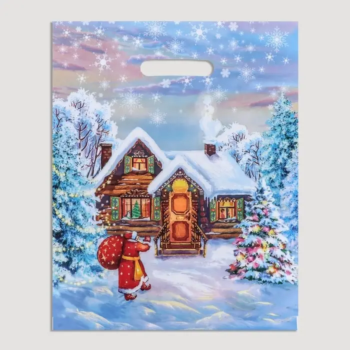 Пакет "Зимняя сказка", полиэтиленовый с вырубной ручкой, 31х40 см.