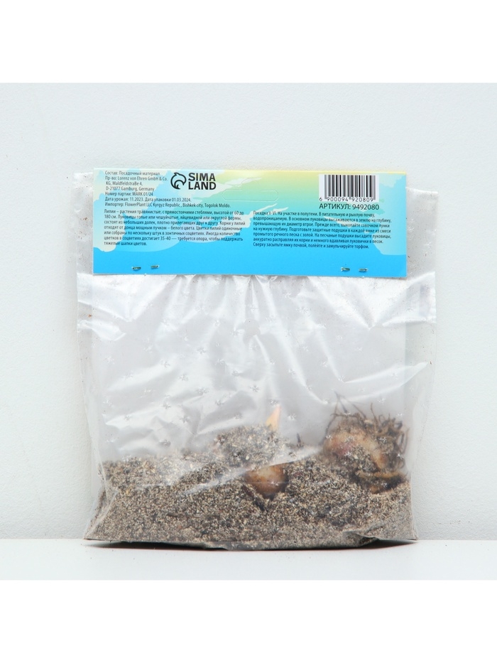 Лилия АОА гибрид November Rain, луковица в пакете с перфорацией, р-р 12/14, 2 шт.