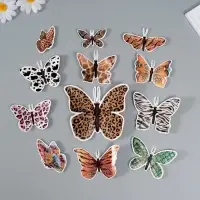 Набор магнитов на холодильник &laquo;Шкуры животных&raquo;, 12 шт., картон, h=4-10 см