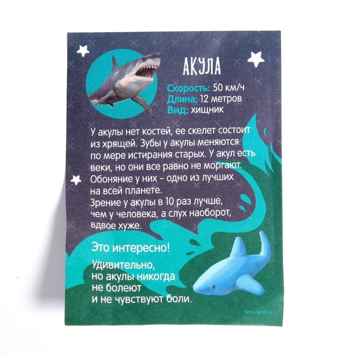 Растущие животные в яйце &laquo;Акула&raquo; МИКС