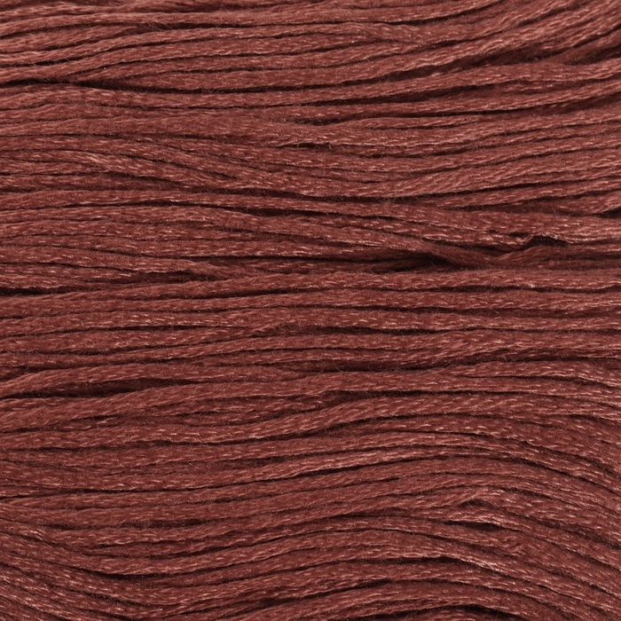 Набор ниток мулине №3858, 8 &plusmn; 1 м, 6 шт, цвет бронзовый