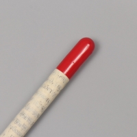 Растущие подарочные карандаши mini "Паприка"