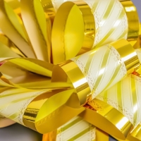 Бант-шар №5