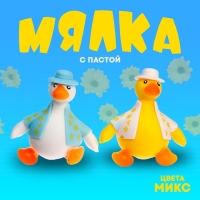 Мялка &laquo;Уточка&raquo;с пастой, цвета МИКС