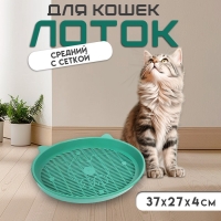 Туалет с сеткой "Киса", 37 х 27 х 4 см, зелёный Туалет с сеткой "Киса", 37 х 27 х 4 см, зелёный