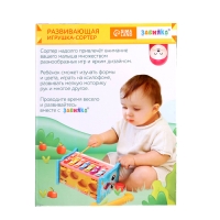 Развивающая игрушка &laquo;Сортер-совушка&raquo;, 15 в 1, с подвижными элементами