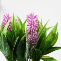 Бонсай в горшке "Аллиум люкс" 7х12 см, микс Бонсай в горшке "Аллиум люкс" 7х12 см, микс