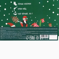 Подарочный набор &laquo;Веселья в новом году&raquo;: чай со вкусом лесных ягод 50 г., крем-мед хлопковый 120 г., арахис в шоколадной глазури, 100 г., носки р-р: 36&ndash;39, термос 500 мл.