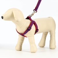 Комплект амуниции рельефный, 2 см, поводок 120 см, красно-синий