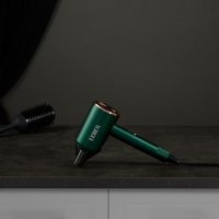 Фен для волос, 900Вт, 2 скорости, 3 температуры, 220-240В, зеленый Фен для волос, 900Вт, 2 скорости, 3 температуры, 220-240В, зеленый