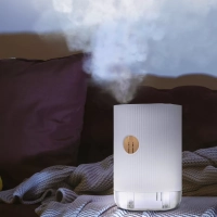 Увлажнитель воздуха для дома КТ-2898 - 7 Вт Увлажнитель воздуха для дома КТ-2898 - 7 Вт