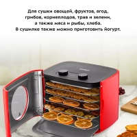 Сушилка для овощей и фруктов КТ-1952 - 300 Вт