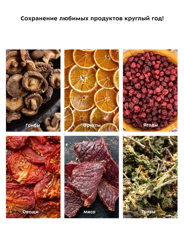 Сушилка для овощей и фруктов электрическая КТ-1990 - 240 Вт