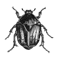 Опрыскиватель ранцевый, 11 л, &laquo;Жук&raquo;