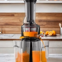 Шнековая соковыжималка электрическая КТ-1162 - 150 Вт