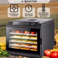 Сушилка для овощей и фруктов КТ-1905 - 500 Вт