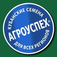 Семена комнатных цветов Бегония "Бада Бинг Роуз", 10 шт.