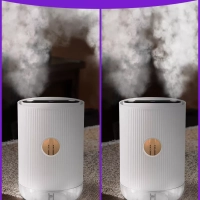 Увлажнитель воздуха для дома КТ-2898 - 7 Вт Увлажнитель воздуха для дома КТ-2898 - 7 Вт