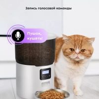 Кормушка для кошек автокормушка для собак КТ-6362 Кормушка для кошек автокормушка для собак КТ-6362