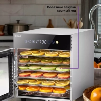 Сушилка для овощей и фруктов КТ-4903 - 500 Вт