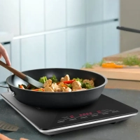 Индукционная плита настольная КТ-125 - 1800 Вт Индукционная плита настольная КТ-125 - 1800 Вт