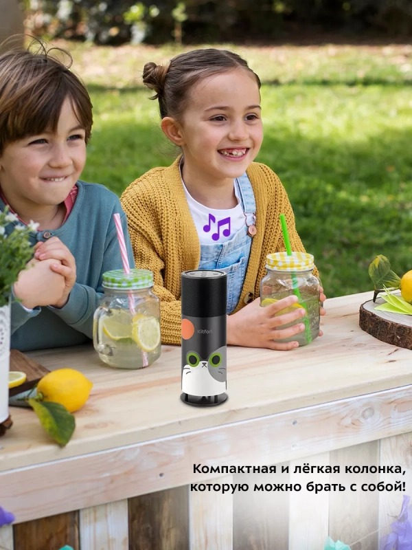 Колонка беспроводная портативная КТ-3366 - 5 Вт Колонка беспроводная портативная КТ-3366 - 5 Вт