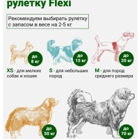 Поводок-рулетка Flexi Black Design cord XS 3m 8 kg red