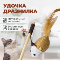 Удочка дразнилка для кошек из натуральных материалов