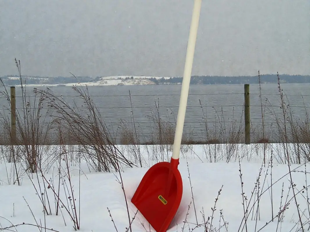 Лопата деревянный черенок детская