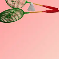 Ракетки бадминтон с воланом