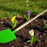 Лопата детская деревянный черенок