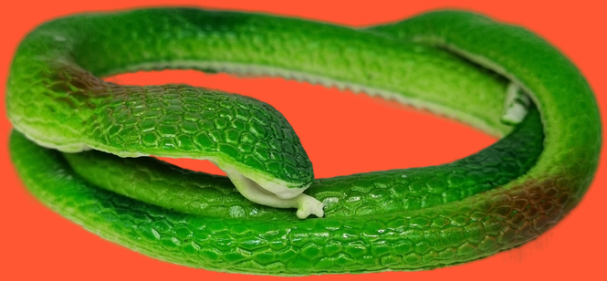 Антистресс игрушка змея