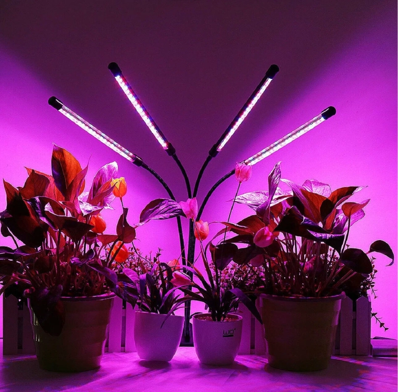 Фитолампа для растений и рассады