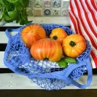 Сумка для покупок с ручками Ретро Авоська Колор 50х45 см (ассортимент)