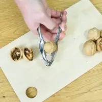 Орехоколка