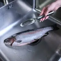 Рыбочистка Стэнли стил