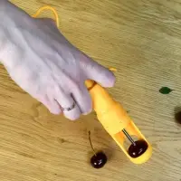 Косточковыдавливатель