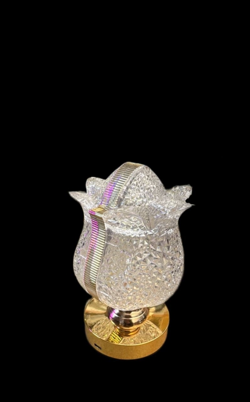 Настольный сенсорный светильник