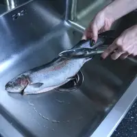 Рыбочистка Стэнли стил